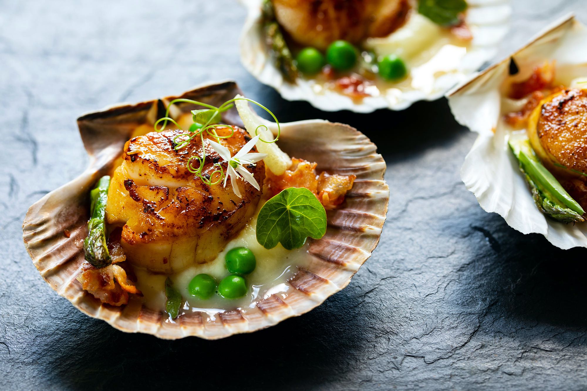 Coquilles Sint Jakobsschelpen En Coquilles Saint Jacques