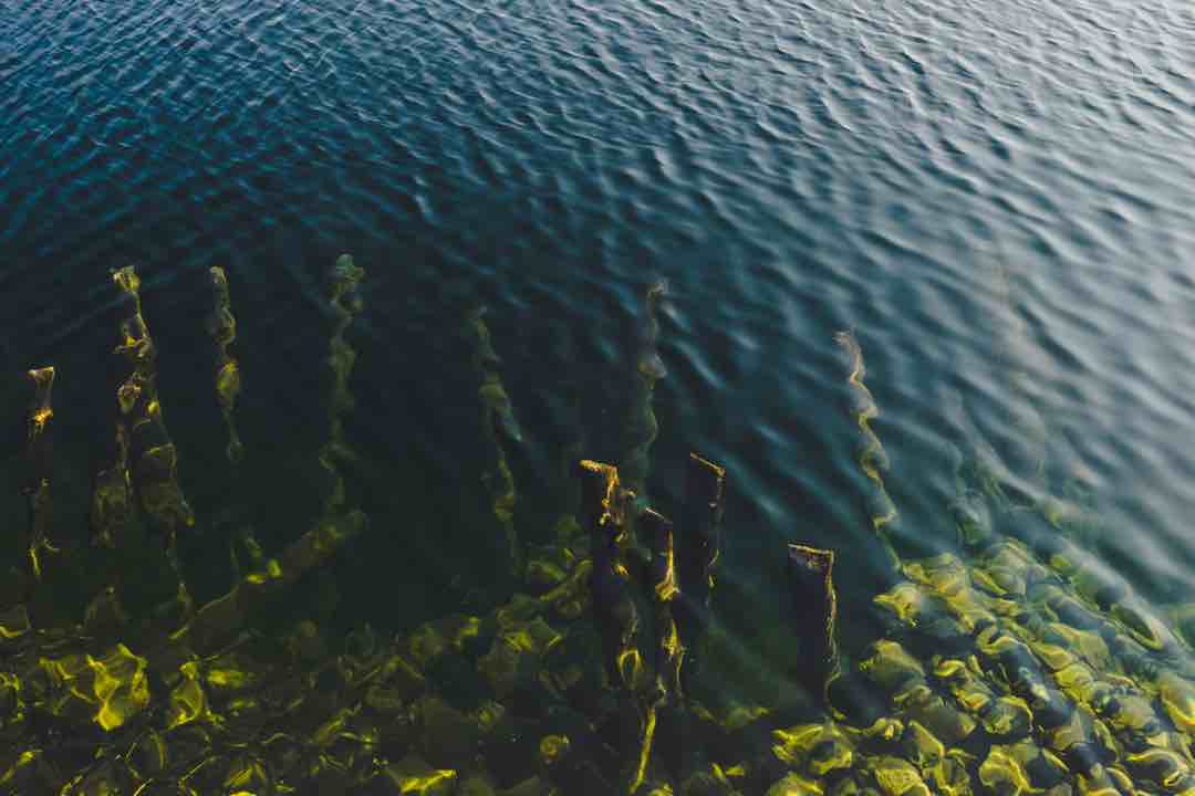 Manual harvesting involves gathering algae directly from their natural habitat.