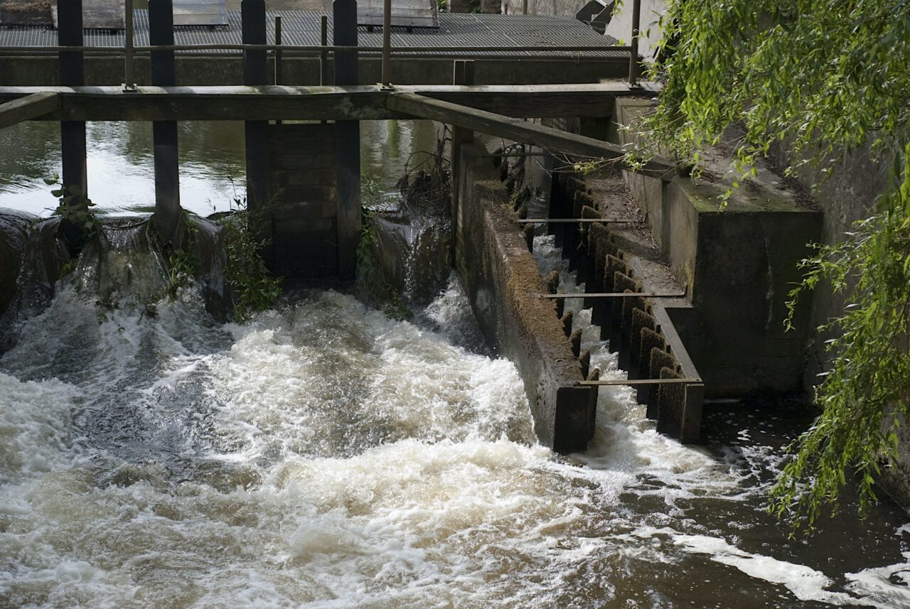 There are various techniques for a fish ladder, depending on the fish species in that environment.
