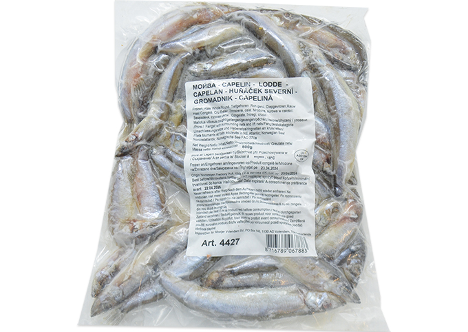 Capelin  25-40